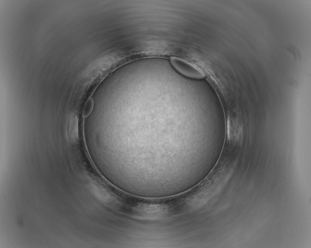 X0000113130205200909181716