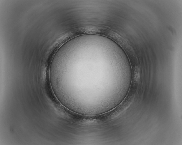 X0000113130206200909181716