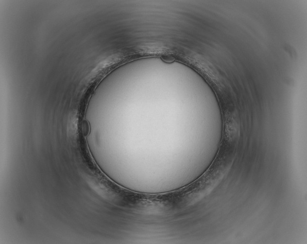 X0000113130207200909181716