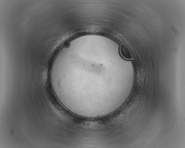 X0000113130208200909181716