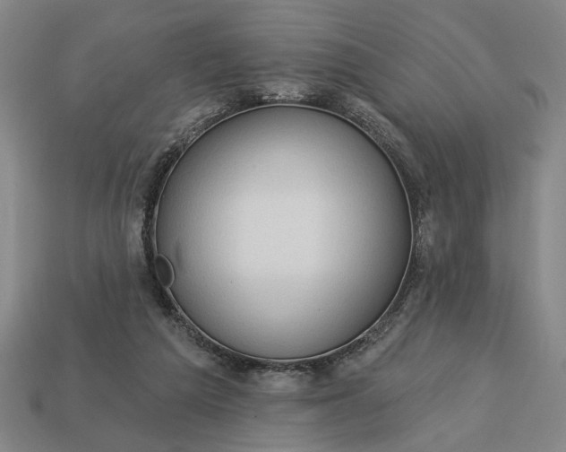 X0000113130209200909181716