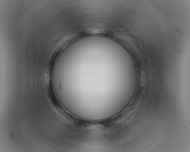 X0000113130210200909181716