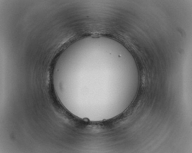 X0000113130211200909181716