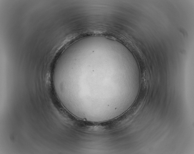 X0000113130212200909181716