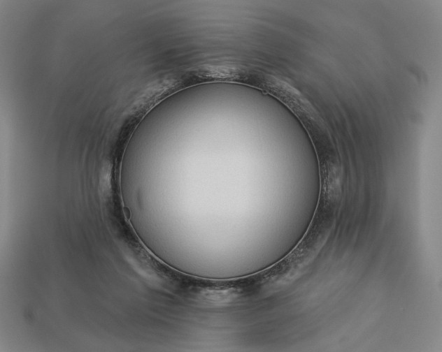 X0000113130213200909181716