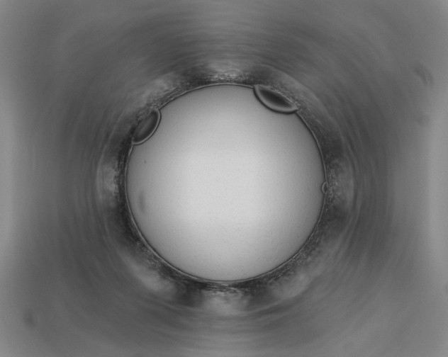 X0000113130215200909181716