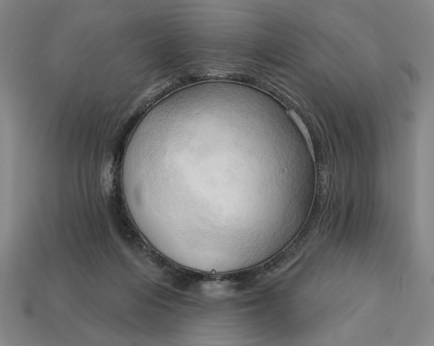 X0000113130216200909181716