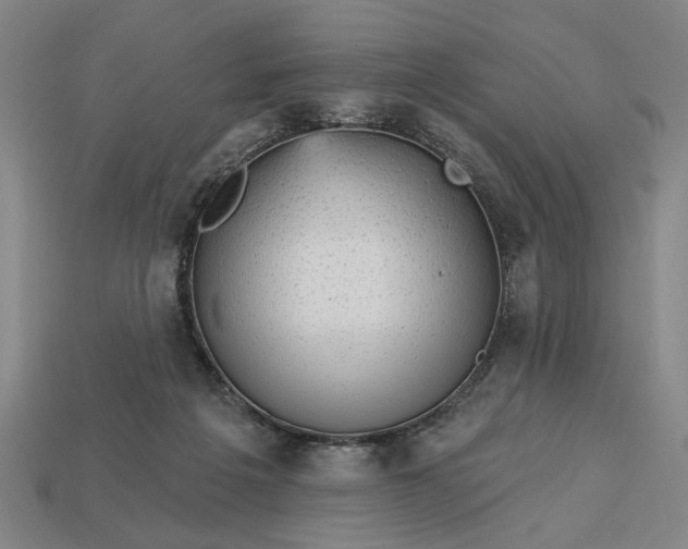 X0000113130217200909181716