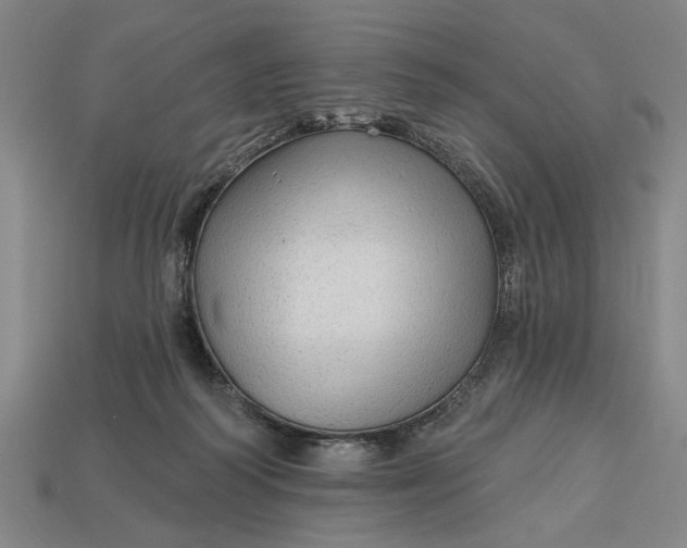 X0000113130218200909181716