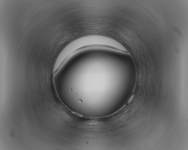 X0000113130219200909181716