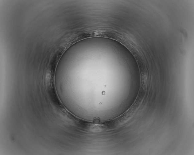 X0000113130222200909181716