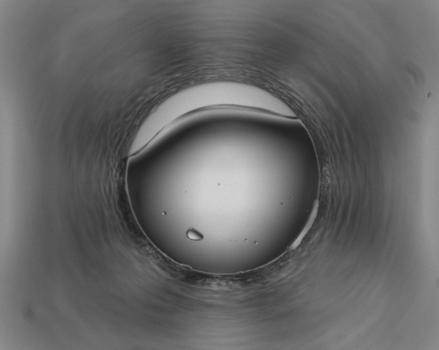 X0000113130223200909181716