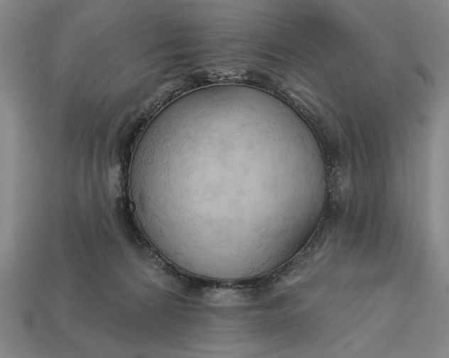 X0000113130224200909181716