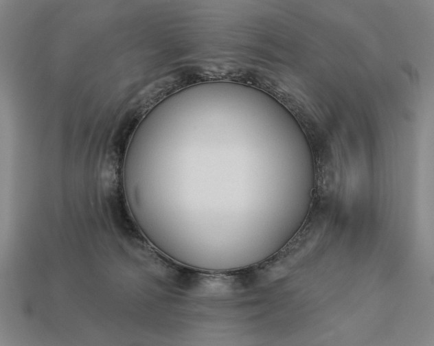 X0000113130226200909181716