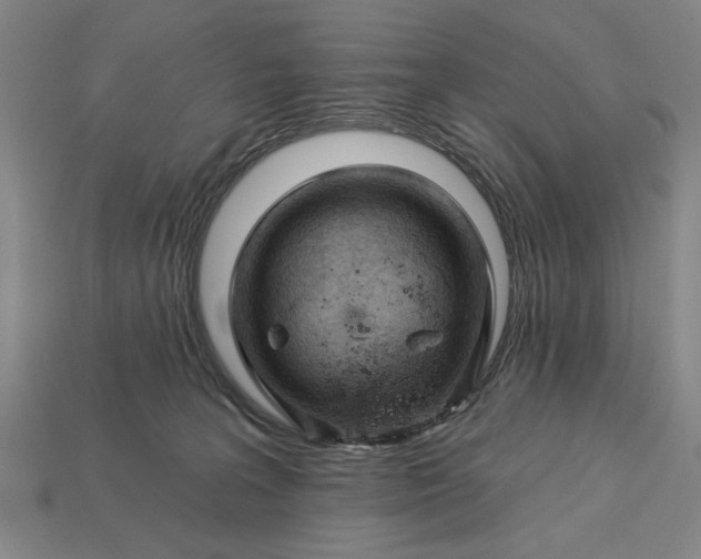 X0000113130227200909181716