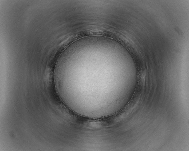 X0000113130228200909181716