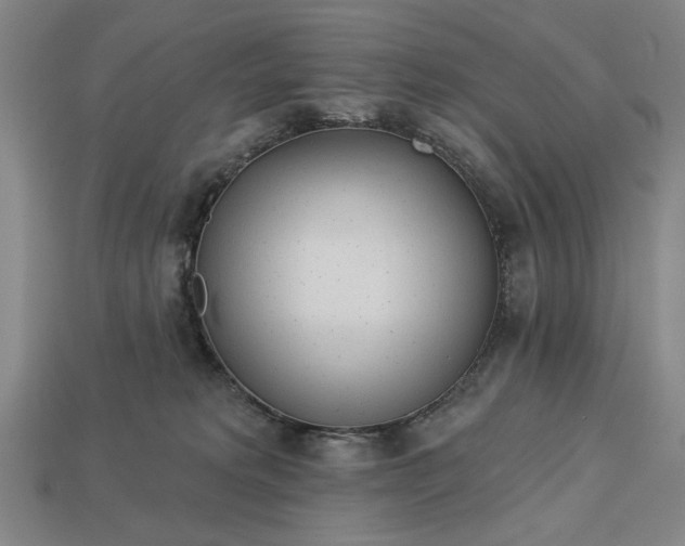 X0000113130229200909181716