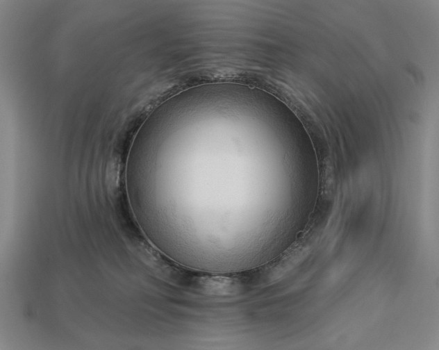 X0000113130230200909181715