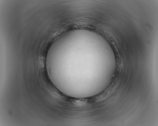 X0000113130232200909181715