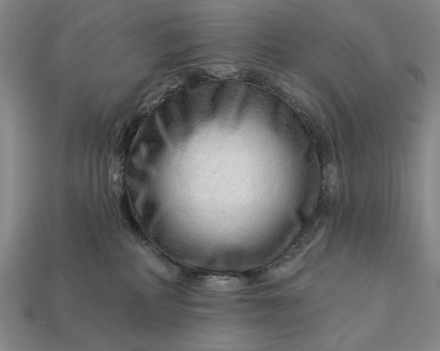 X0000113130234200909181715