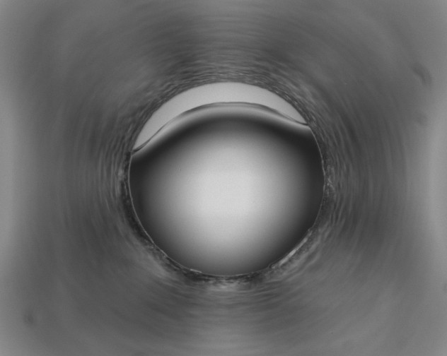 X0000113130235200909181715