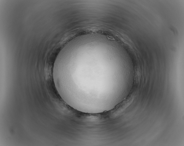 X0000113130236200909181715