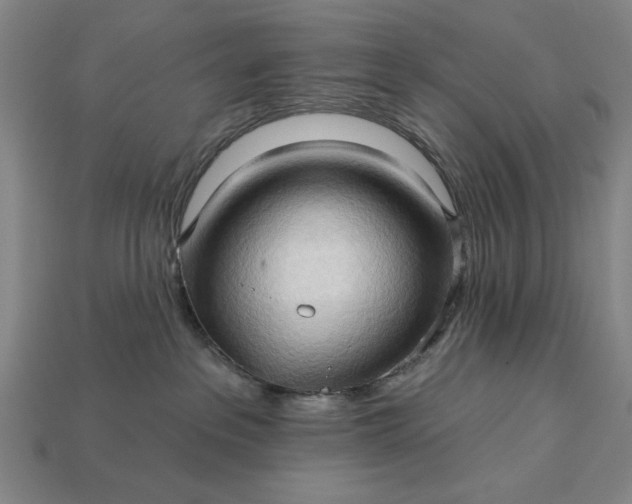 X0000113130237200909181715