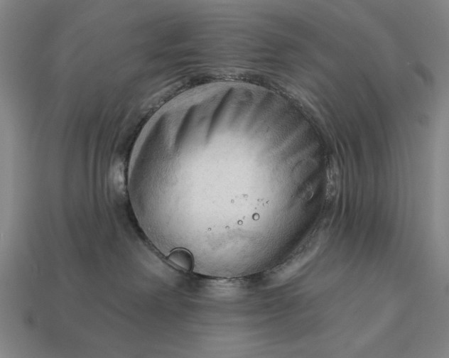 X0000113130238200909181715