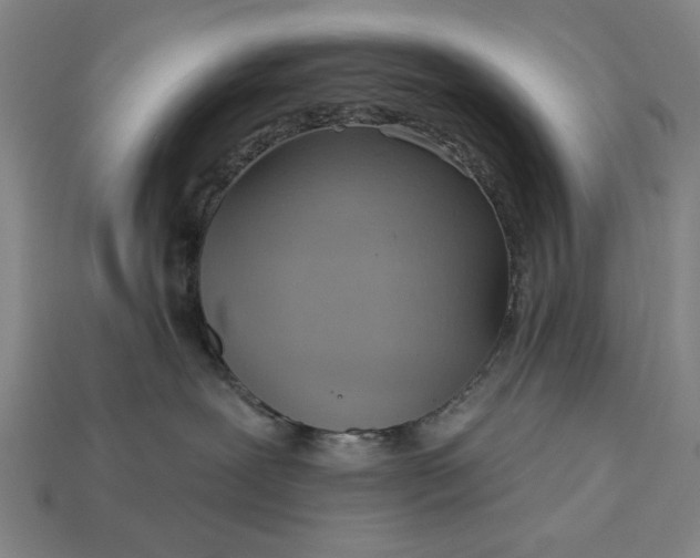 X0000113130239200909181715