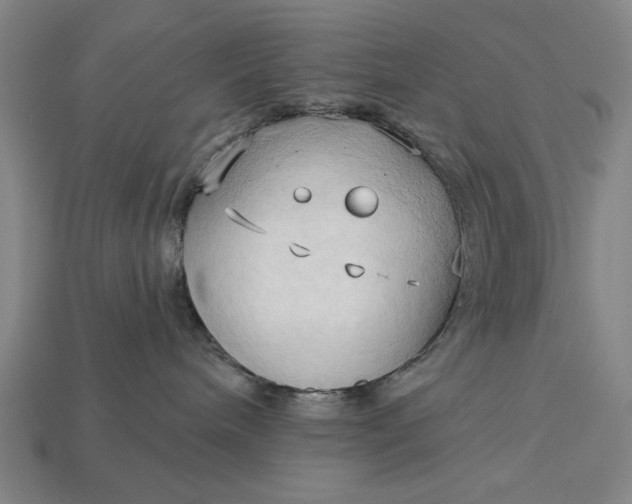 X0000113130240200909181715