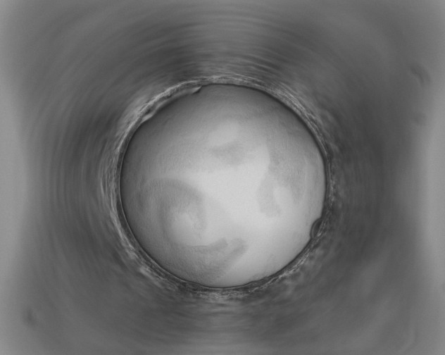 X0000113130241200909181715