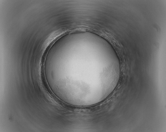 X0000113130242200909181715