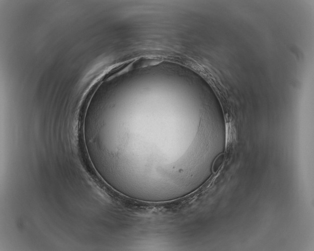 X0000113130243200909181715