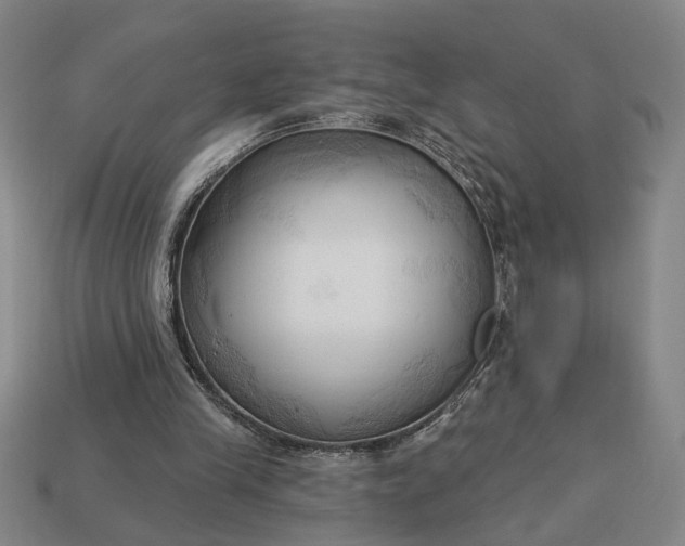 X0000113130245200909181715