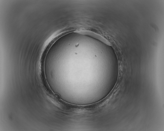 X0000113130246200909181715