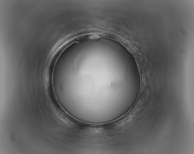 X0000113130247200909181715