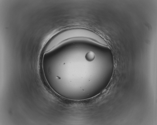 X0000113130248200909181715