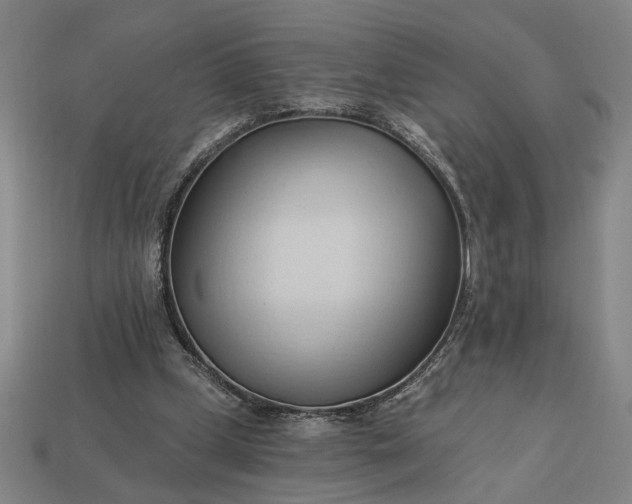 X0000113130249200909181715