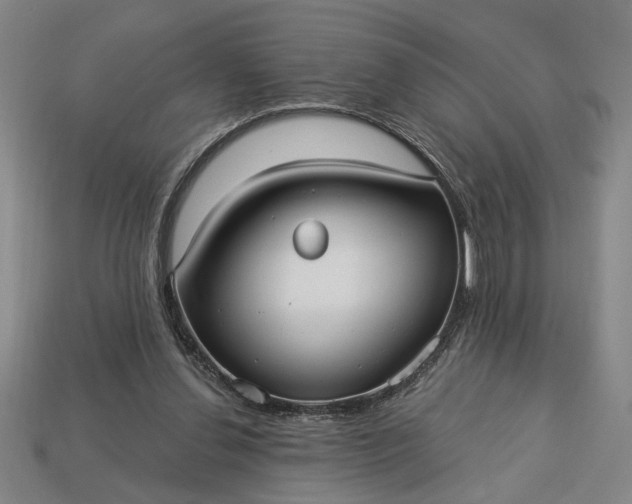 X0000113130252200909181715