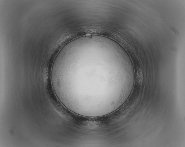 X0000113130255200909181715