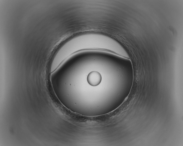 X0000113130256200909181715