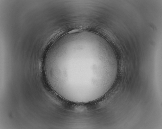 X0000113130258200909181715