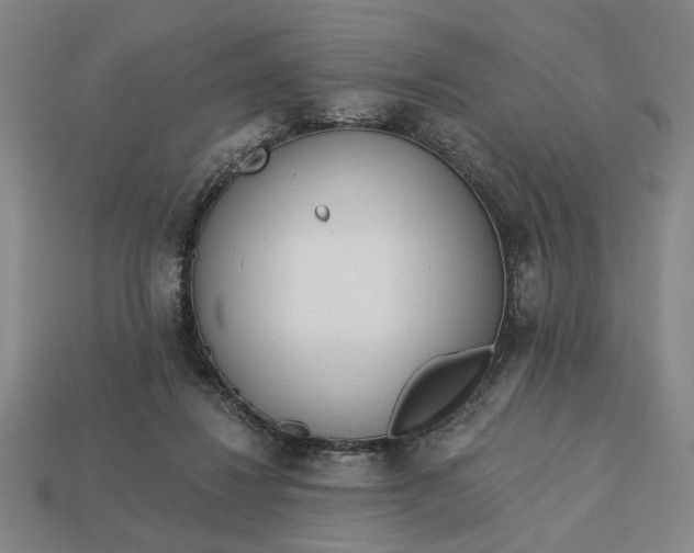 X0000113130260200909181715