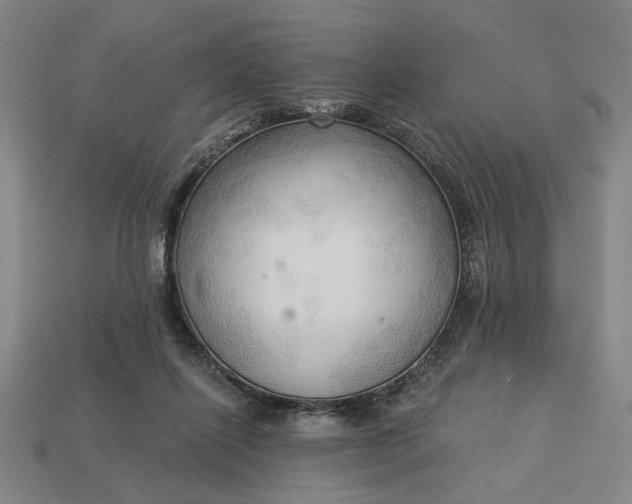 X0000113130262200909181715