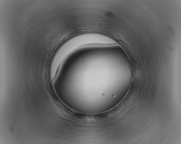 X0000113130264200909181715