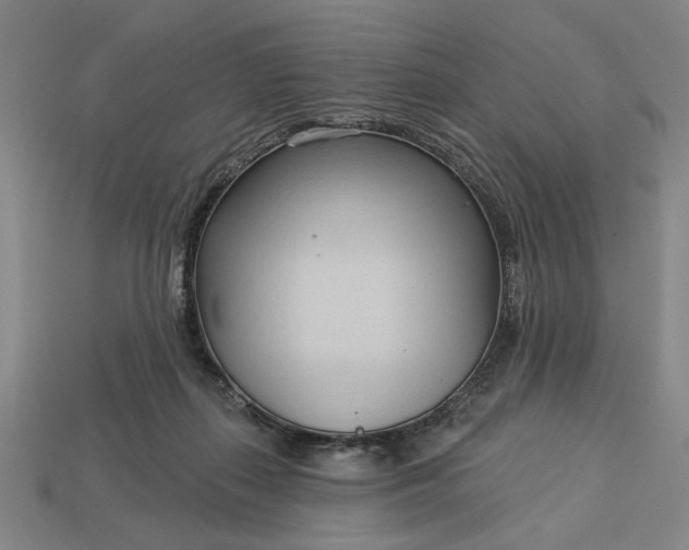 X0000113130267200909181715