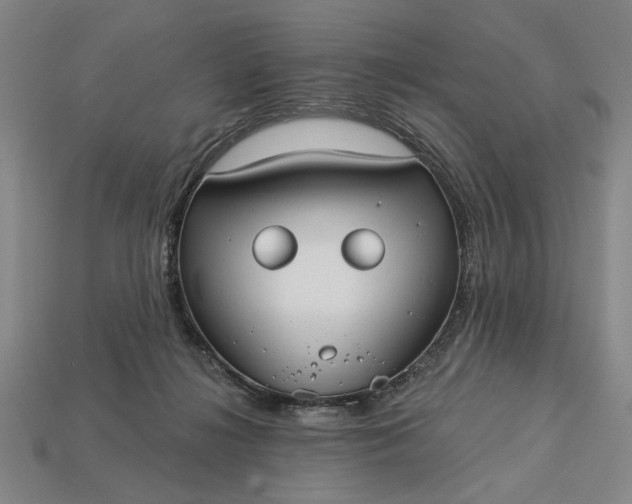 X0000113130268200909181715