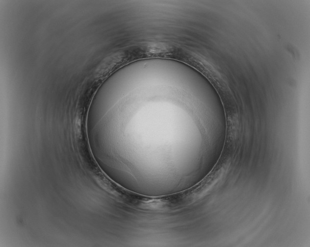 X0000113130269200909181715