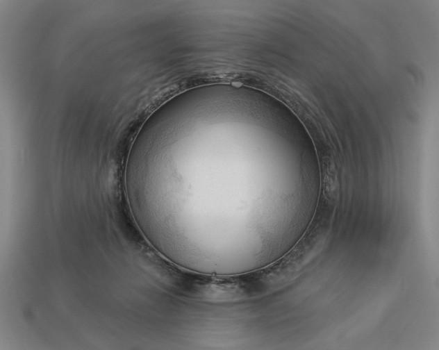 X0000113130270200909181715