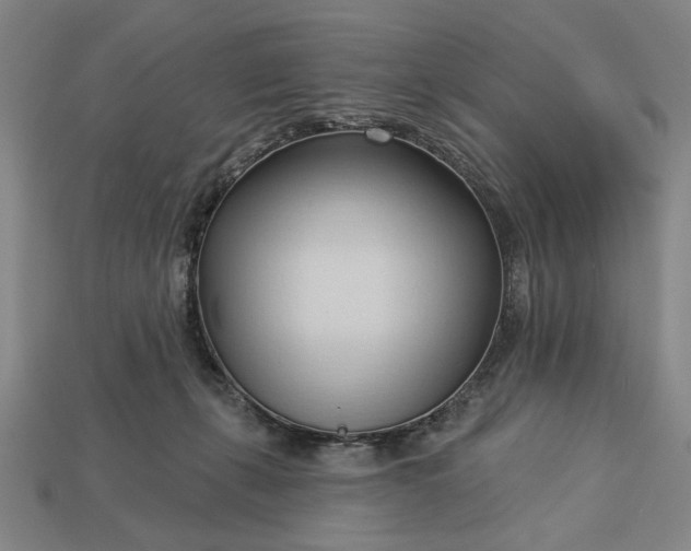 X0000113130271200909181715